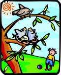 A person looking up at a tree that has a nest full of baby birds in it.